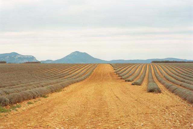 Puimoisson, Provence-Alpes-Côte d'Azur. 2016