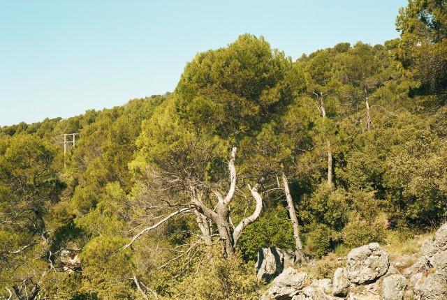 Environ de Tourtour, Provence-Alpes-Côte d'Azur. 2016