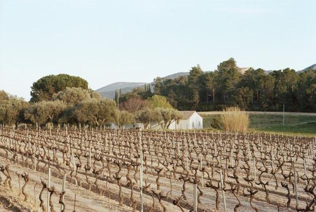 Environs de La Garde-Freinet, Provence-Alpes-Côte d'Azur. 2016