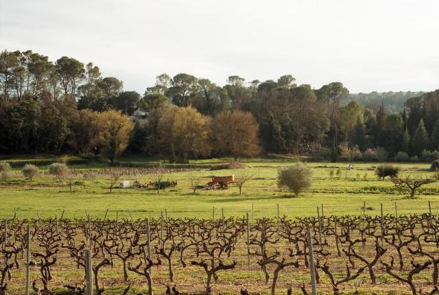 Le Cannet-des-Maures, Provence-Alpes-Côte d'Azur. 2016