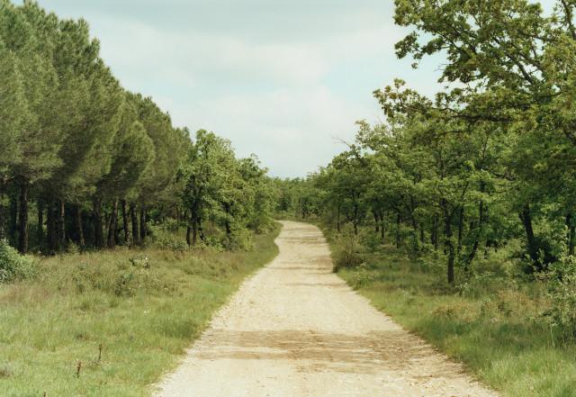 La Bouilladisse, Provence-Alpes-Côte d'Azur. 2010.