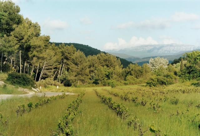 La Bouilladisse, Provence-Alpes-Côte d'Azur. 2010.