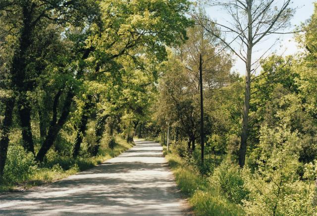 La Bouilladisse, Provence-Alpes-Côte d'Azur. 2010.