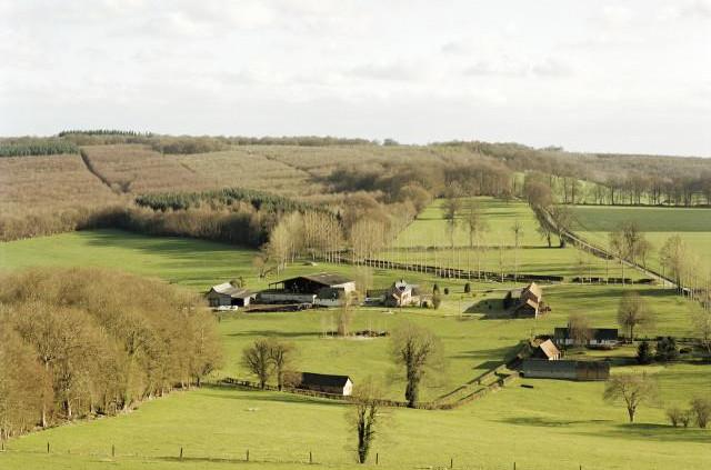 D77 Beauval, Normandie. 2006