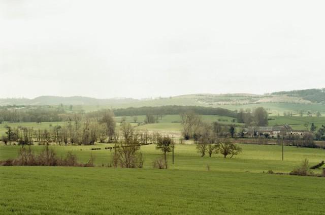 D1 entre Bures-en-Bray et Mesnières-en-Bray, Normandie. 2006