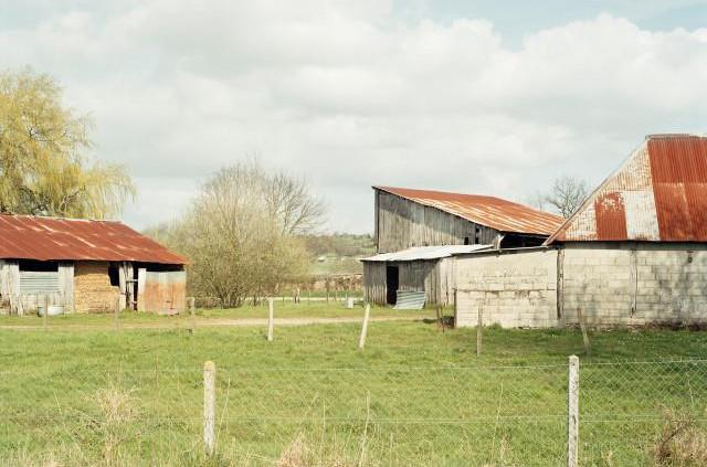 Le Mont Landrin entre Douvrend et les Ifs, Normandie. 2006