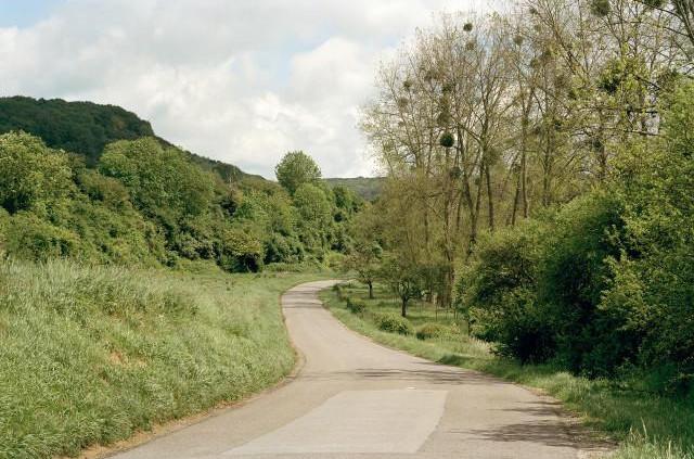 Vallée de l'Yères, D16 entre Sept-Meules et Cuverville, Normandie. 2006