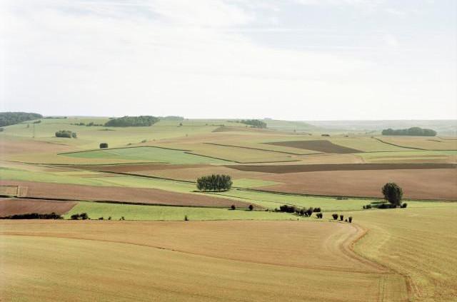 D1314 environs de Londinières, Normandie. 2006