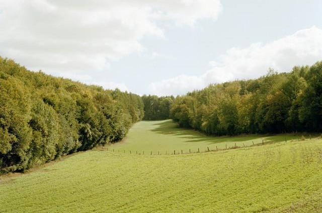 D921, forêt domaniale de Lyons entre La Feuillie et Nolleval, Normandie. 2006