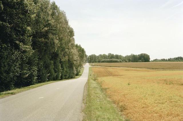 D97/D56 forêt de Hellet, Normandie. 2006