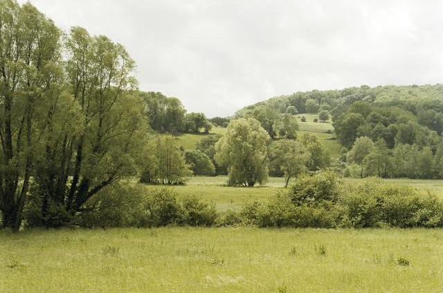 Vallée de l'Yères, D16 entre Sept-Meules et Cuverville, Normandie. 2006