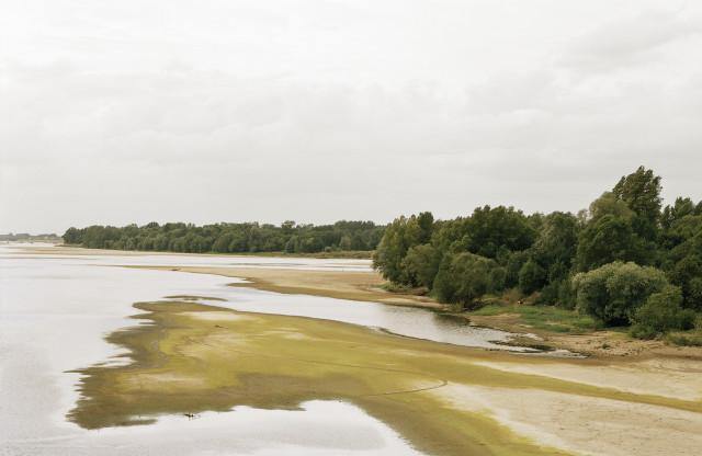 Loire, Environs de Montjean-sur-Loire, Maine-et-Loire. Pays de la Loire, 2004.