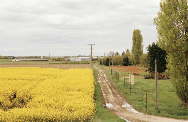 Saint-Benoît-sur-Loire, Loiret. Centre-Val de Loire. 2001