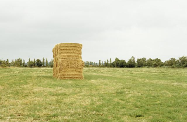 Canal de la Martinière, Loire-Atlantique. Pays de la Loire. 2004