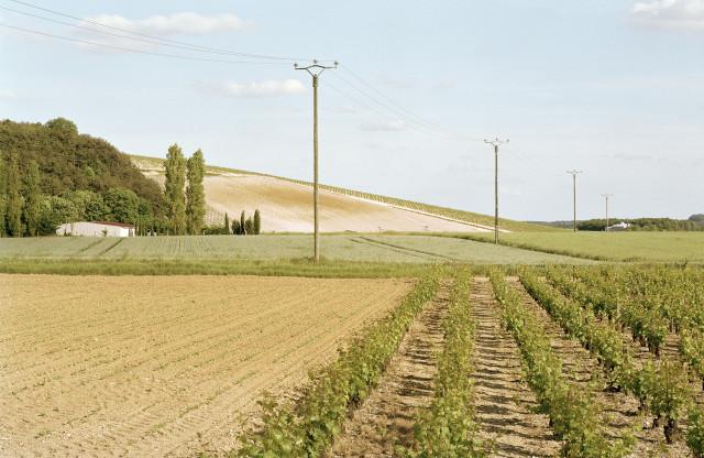 Sancerre, Cher. Centre-Val de Loire. 2001