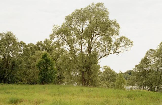 Entre Blois et Chaumont-sur-Loire, Loir-et-Cher. Centre-Val de Loire. 2001
