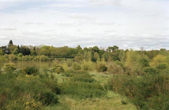 Environs de Sully-sur-Loire, Loiret. Centre-Val de Loire. 2001