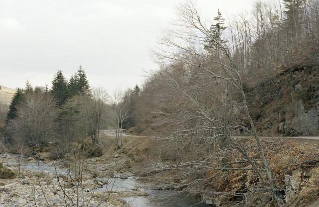 Mont-Gerbier-de-Jonc, Ardèche. Auvergne-Rhône-Alpes.