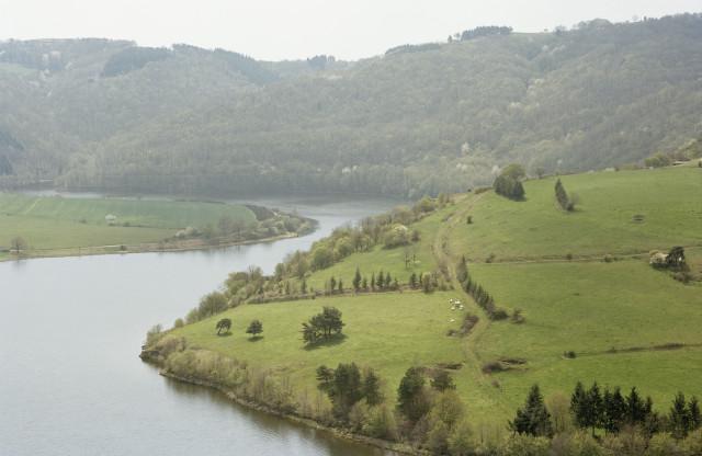 Le Pêt-de-l’Âne, environs de Saint-Paul-de-Vézelin, Loire. Auvergne-Rhône-Alpes. 2010
