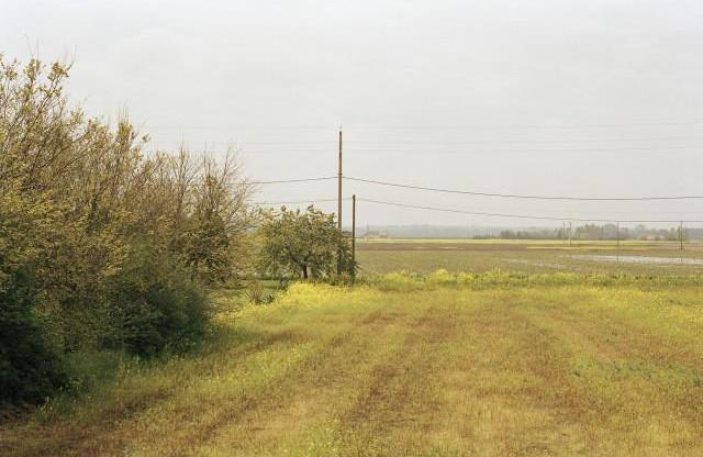 Entre Saint-Benoît-sur-Loire et Saint-Denis-de-l’Hôtel, Loiret. Centre-Val de Loire. 2001