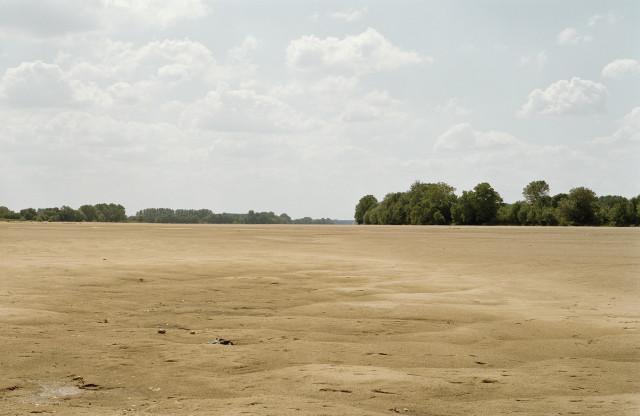 Entre Ingrandes-Le Fresne-sur-Loire et Saint-Florent-le-Vieil, Maine-et-Loire. Pays de la Loire. 2004