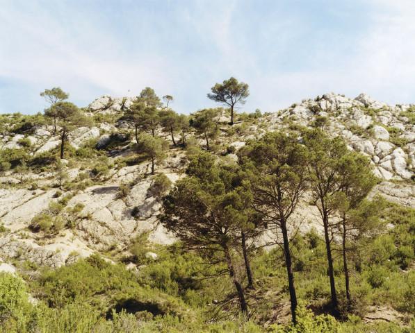 Montagne Sainte-Victoire. Bouches-du-Rhône, Provence-Alpes-Côtes d'Azur. 1995