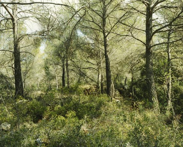 Grand site de la Sainte-Victoire. Bouches-du-Rhône, Provence-Alpes-Côtes d'Azur. 2006