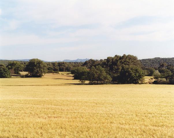 Bouches-du-Rhône, Provence-Alpes-Côtes d'Azur. 2006