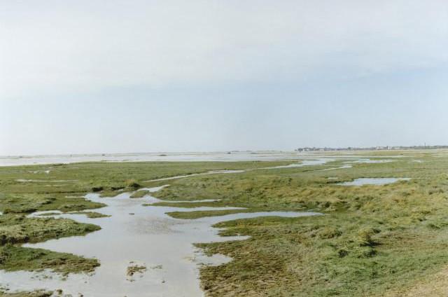 Entre Le Crotoy et Saint-Valery-sur-Somme, Baie de Somme, Hauts-de-France. 2013