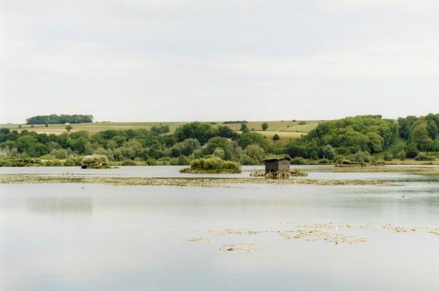 Les étangs de Longpré-Les-Corps-Saints. 2011