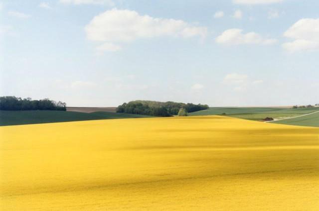 Suzanne, Hauts-de-France. 2012