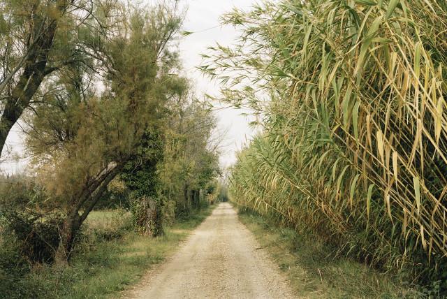 Tour du Valat, Le Sambuc, Arles. 2013