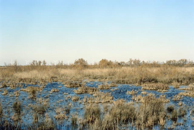 Les Enfores, Port-Saint-Louis-du-Rhône. 2013
