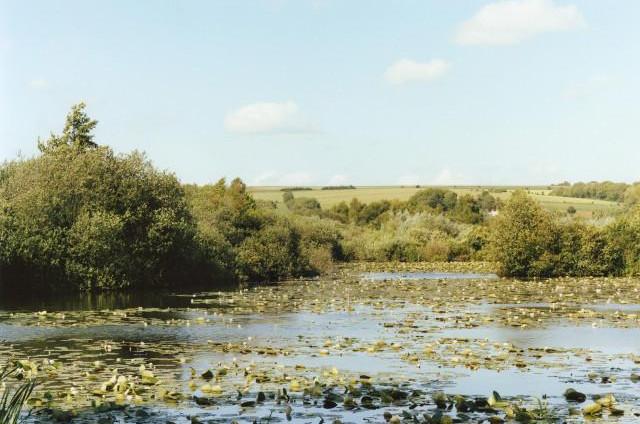 Les étangs de Longpré-les-Corps-Saints, Hauts-de-France. 2011
