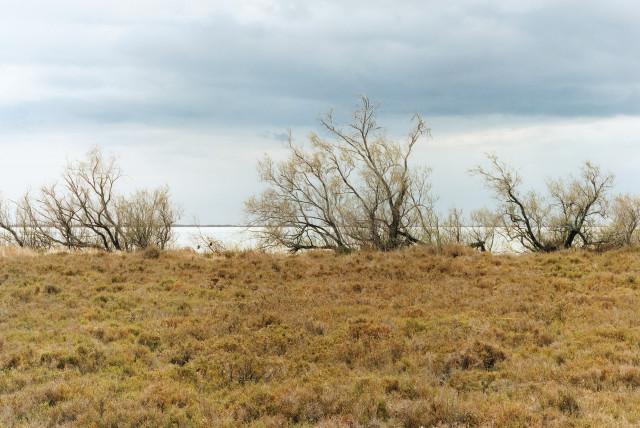 Étang de Vaccarès, Saintes-Maries-de-la-Mer. 2013