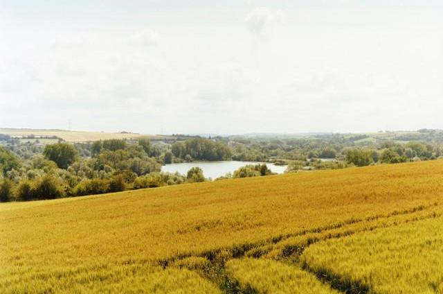 Les étangs de Longpré-les-Corps-Saints, Hauts-de-France. 2011