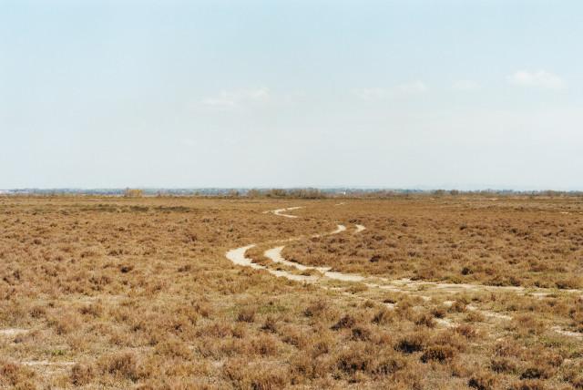 Le Tonneau, Le Sambuc, Arles. 2013