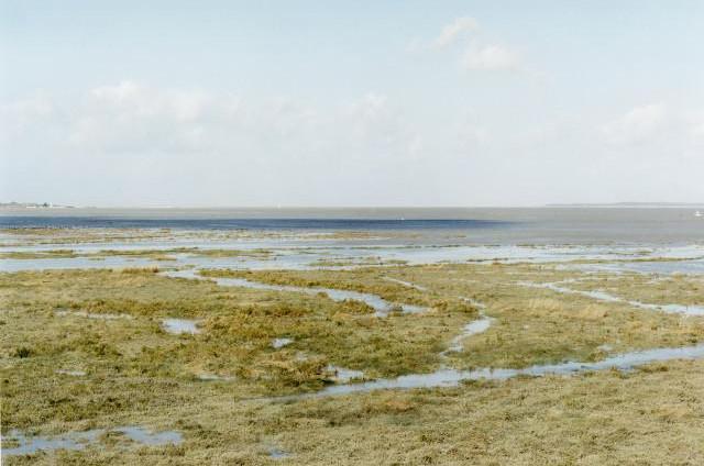 Environs de Cap Hornu, Baie de Somme, grande marée. Hauts-de-France. 2013