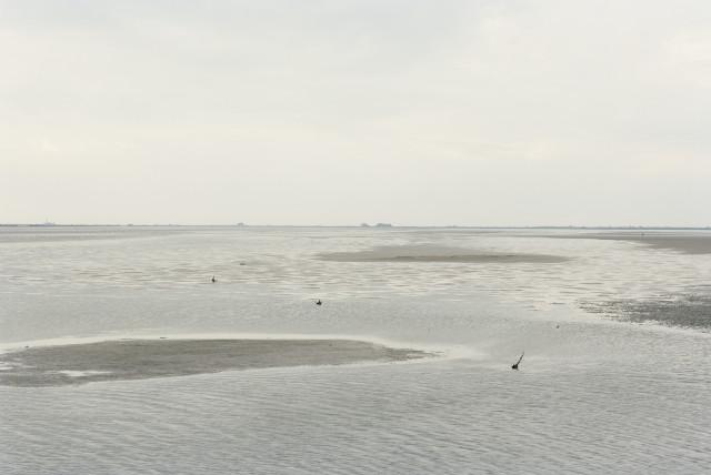 Étang de Galabert, Saintes-Maries-de-la-Mer. 2013