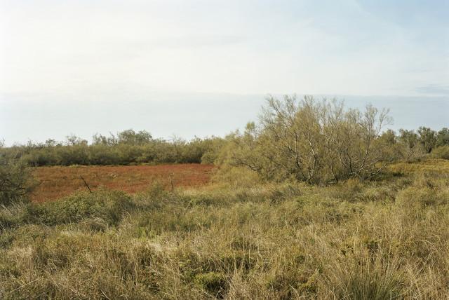 La Capelière, route de Fiélouse, Arles. 2013