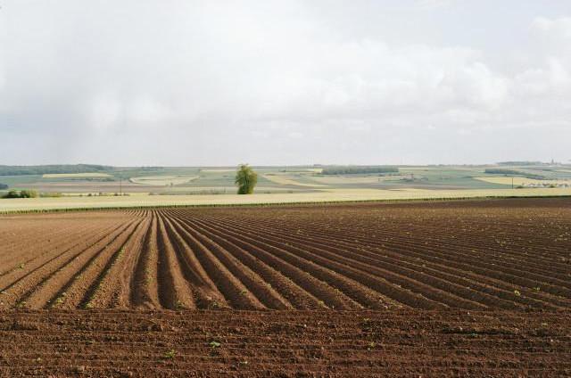 Hauteurs de Vaux-sur-Somme, Belvédère de Frise, Hauts-de-France. 2012