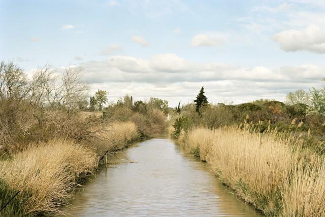 Roubine de Fumemorte, Arles. 2013