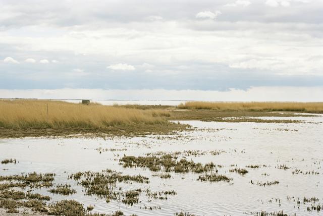 Étang de Vaccarès, Saintes-Maries-de-la-Mer. 2013