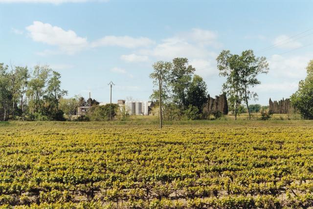 Isle de Saint Pierre, route de Port-Saint-Louis-du-Rhône, Arles. 2013