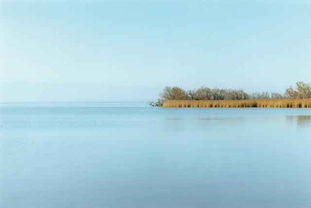 Étang de Vaccarès, Saintes-Maries-de-la-Mer. 2013