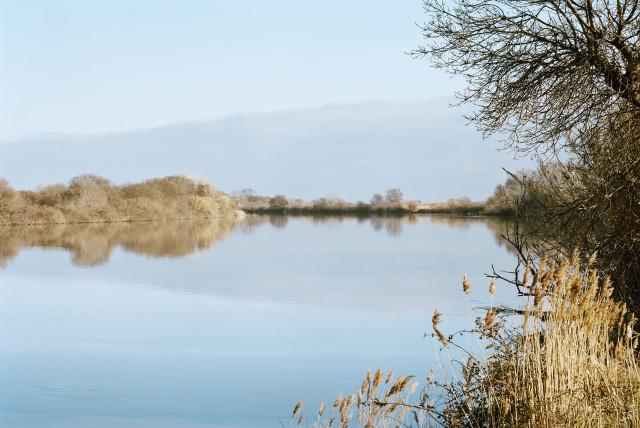 Le Petit Rhône à Sylvéréal, Vauvert. 2013