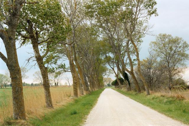 Le Vedeau, route de Salin-de-Giraud, Arles. 2013