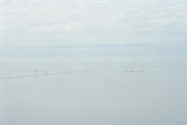 Étang de Vaccarès, Saintes-Maries-de-la-Mer. 2013