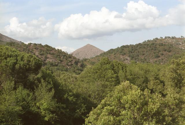 Environs de Corte, Corse. 1994