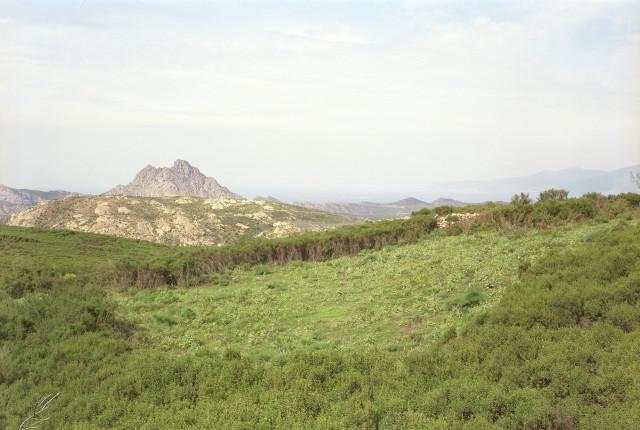 Désert des Agriates, Corse. 1994